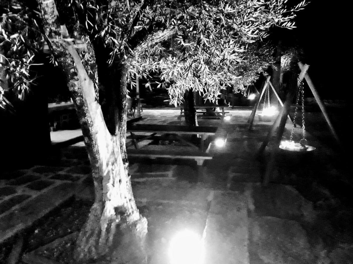 Casa Do Prado Guesthouse วีลาเรอัล ภายนอก รูปภาพ
